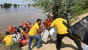 Sewa DI SASTER MANAGEMENT